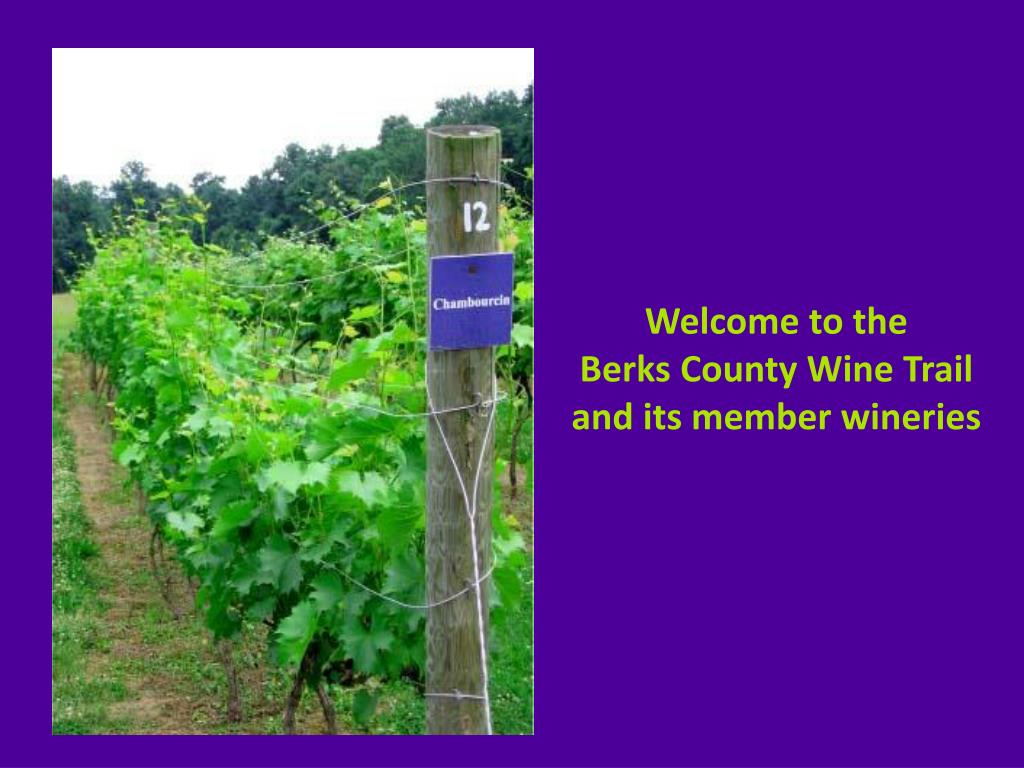 PPT Berks County Wine Trail PowerPoint Presentation, free download