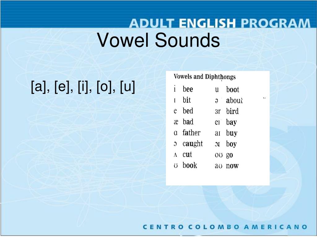 PPT - OPEN TUTORING SESSION PRONUNCIATION USING THE IPA 