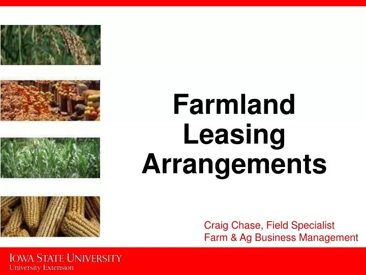farmland leasing arrangements n.