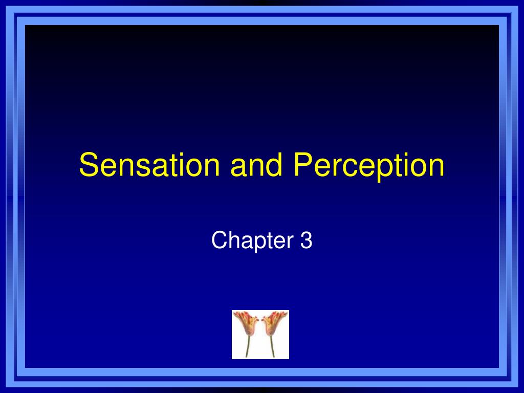 sensation and perception psychology definition