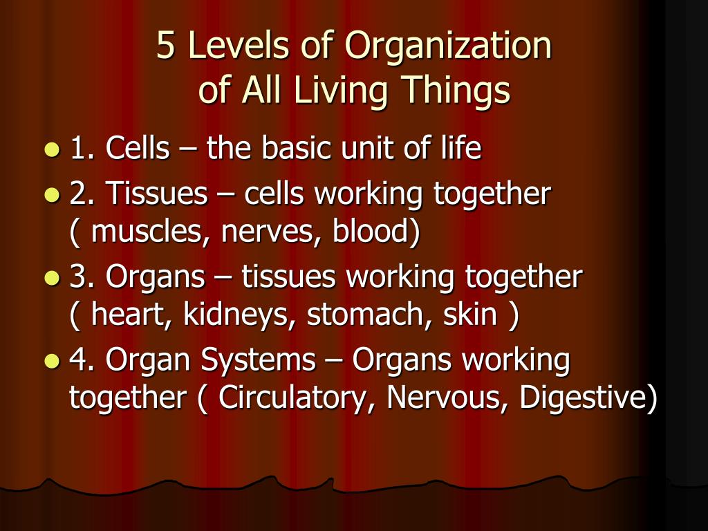 PPT - Chapter 3 Cells : The Basic Units of Life PowerPoint Presentation