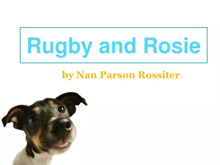 rugby and rosie n.