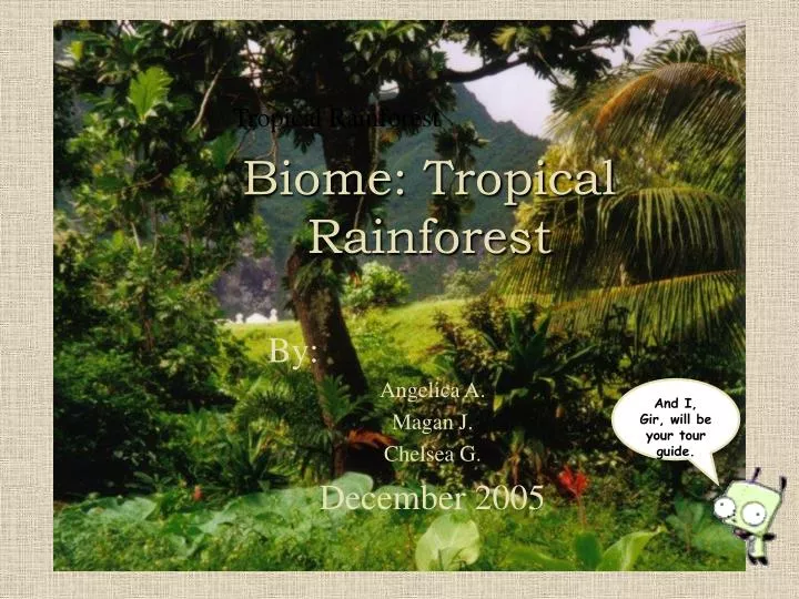 biome tropical rainforest n.