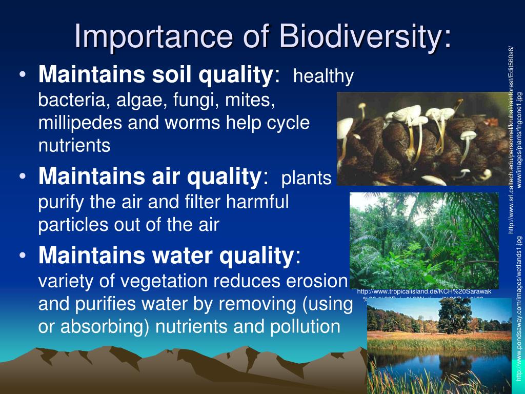 presentation on value of biodiversity