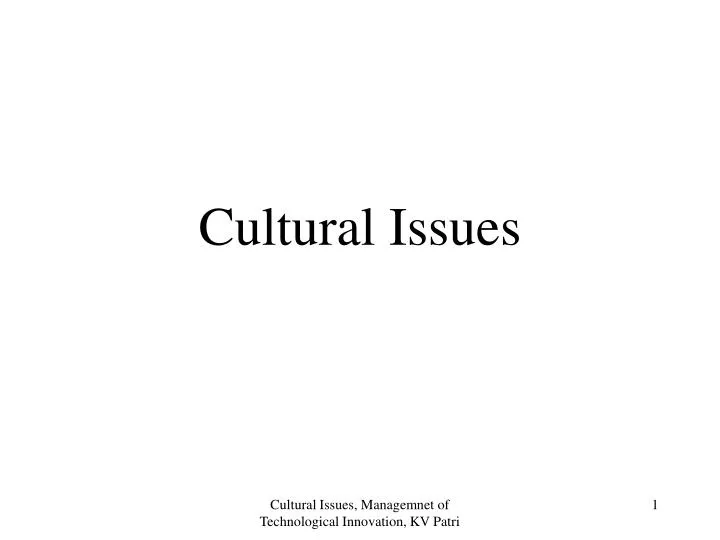 cultural issues n.