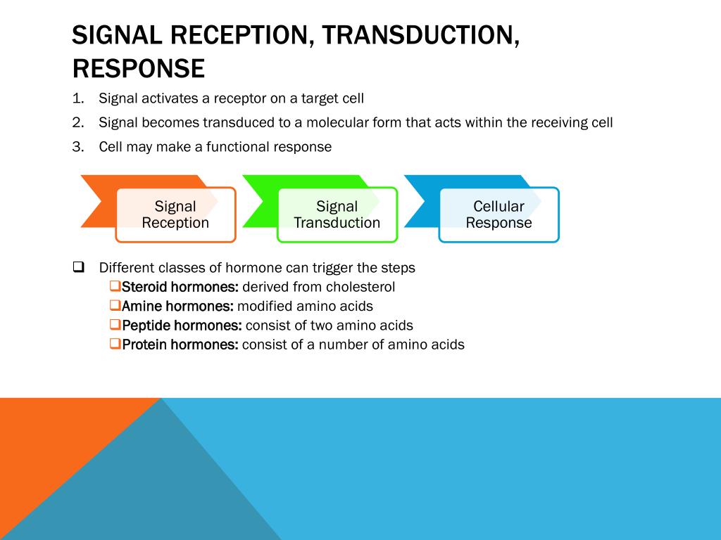PPT Chapter 36 PowerPoint Presentation, free download ID376337