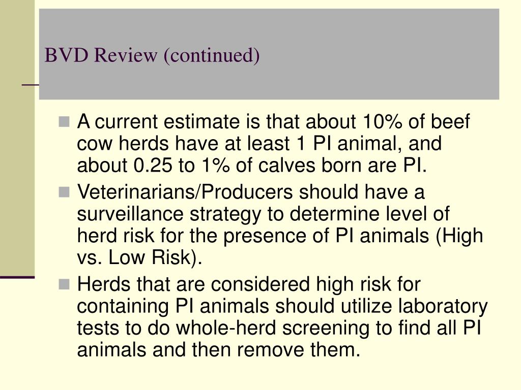 bvd id number bvd id number