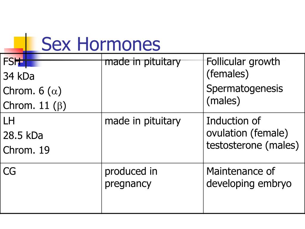 Ppt Hormones Powerpoint Presentation Free Download Id377253 