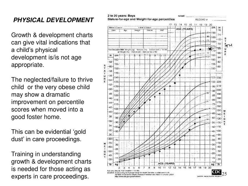 Physical Development 16 19 Years Chart
