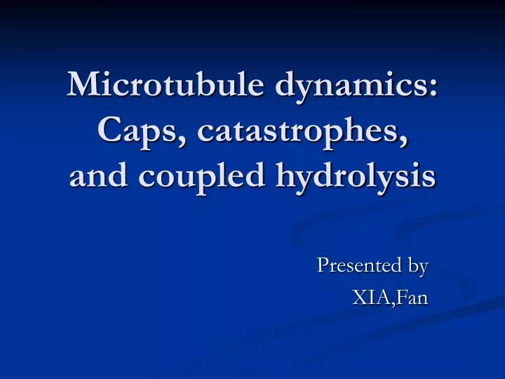 microtubule dynamics caps catastrophes and coupled hydrolysis n.