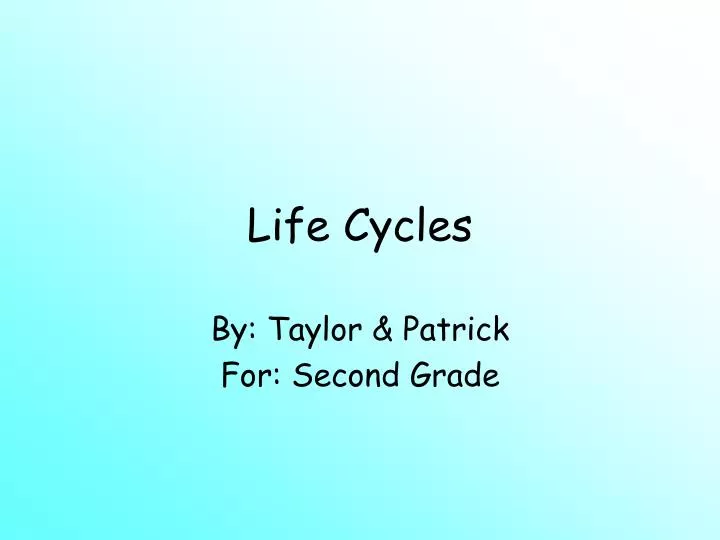 life cycles n.