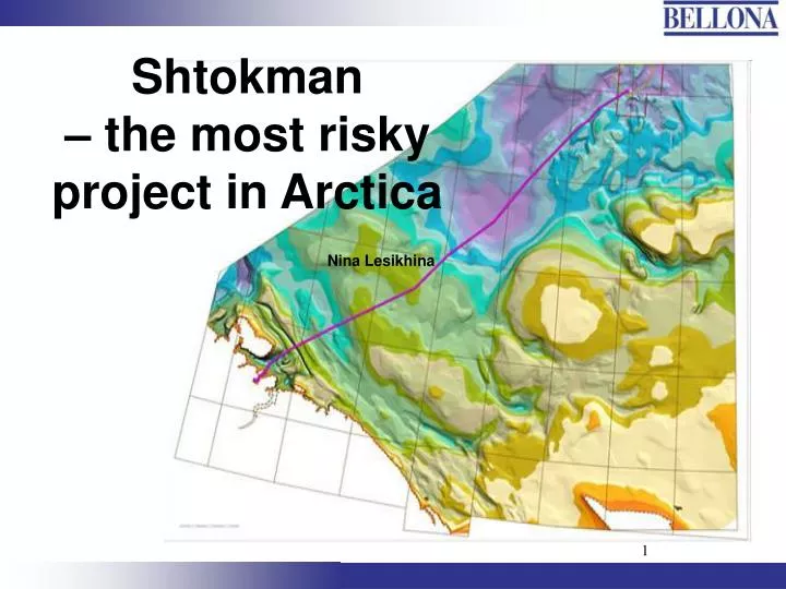 shtokman the most risky project in arctica nina lesikhina n.