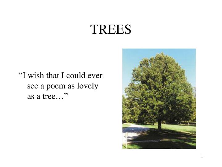 trees n.