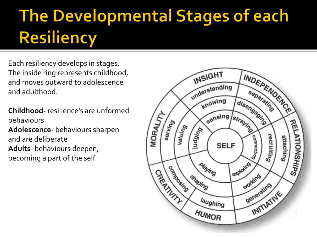 resilience theory a literature review