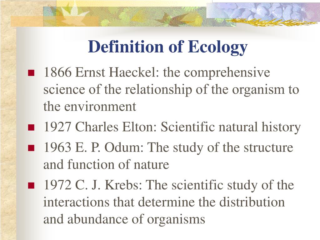 presentation definition ecology