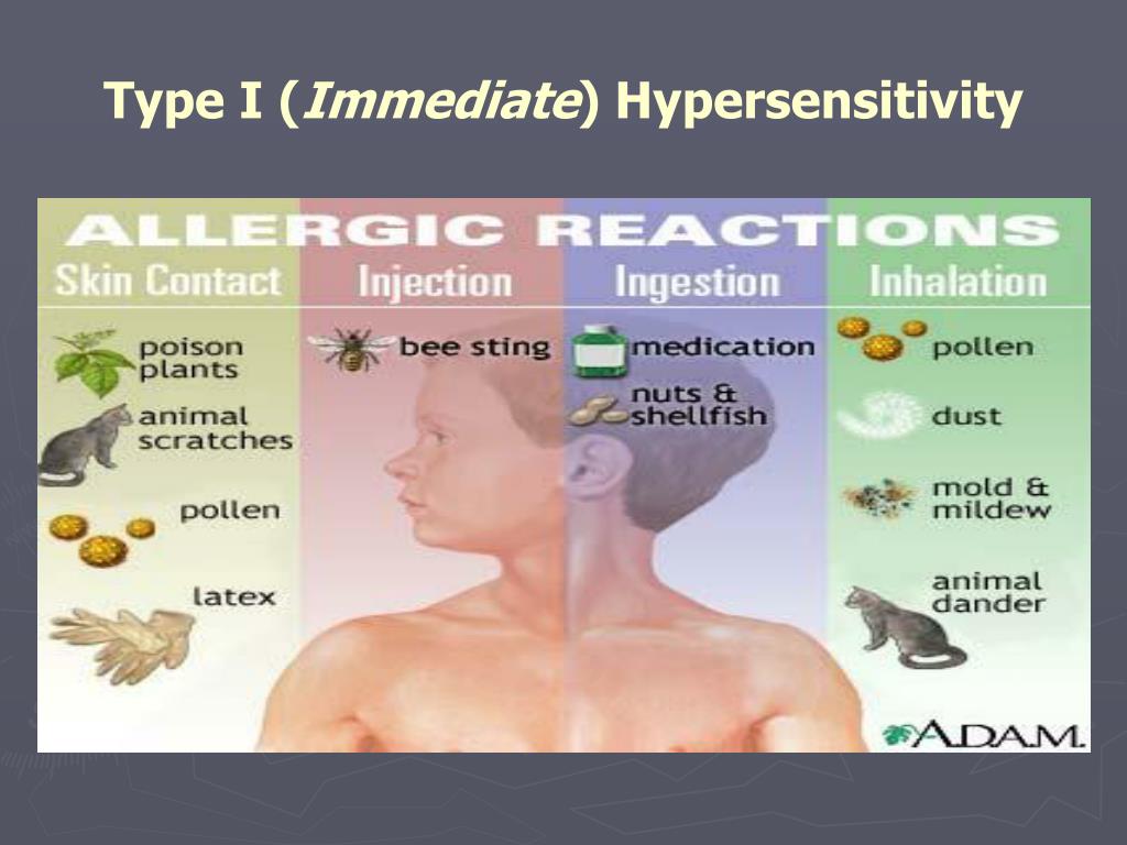 Ppt Cellular Immune Response And Hypersensitivity Powerpoint