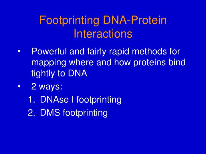 footprinting dna protein interactions n.