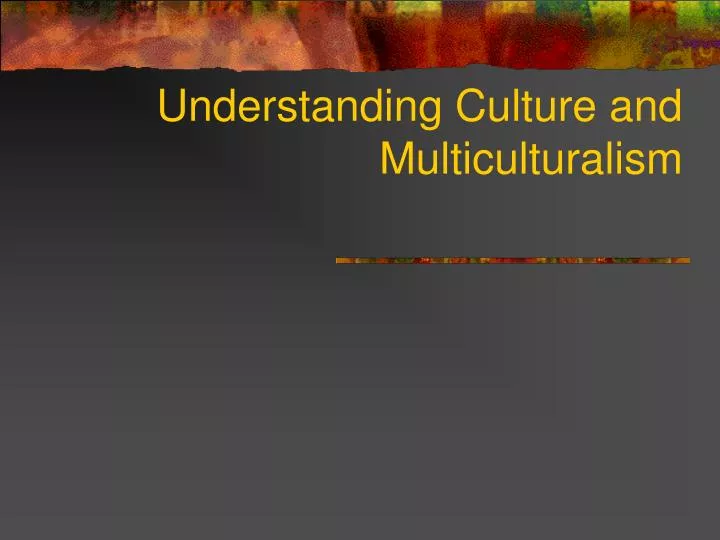 understanding culture and multiculturalism n.