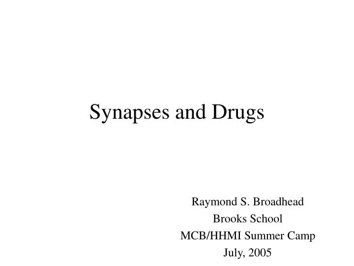 synapses and drugs n.