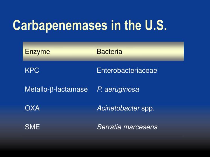Ppt Carbapenem Resistance In Enterobacteriaceae Powerpoint