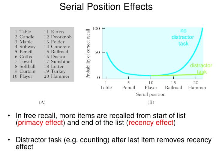 human recency and primacy effect When recalling items in a series, the primacy effect is thetendency to recall those items that are first best. human recency and primacy effect When recalling items in a series, the primacy effect is thetendency to recall those items that are first best.