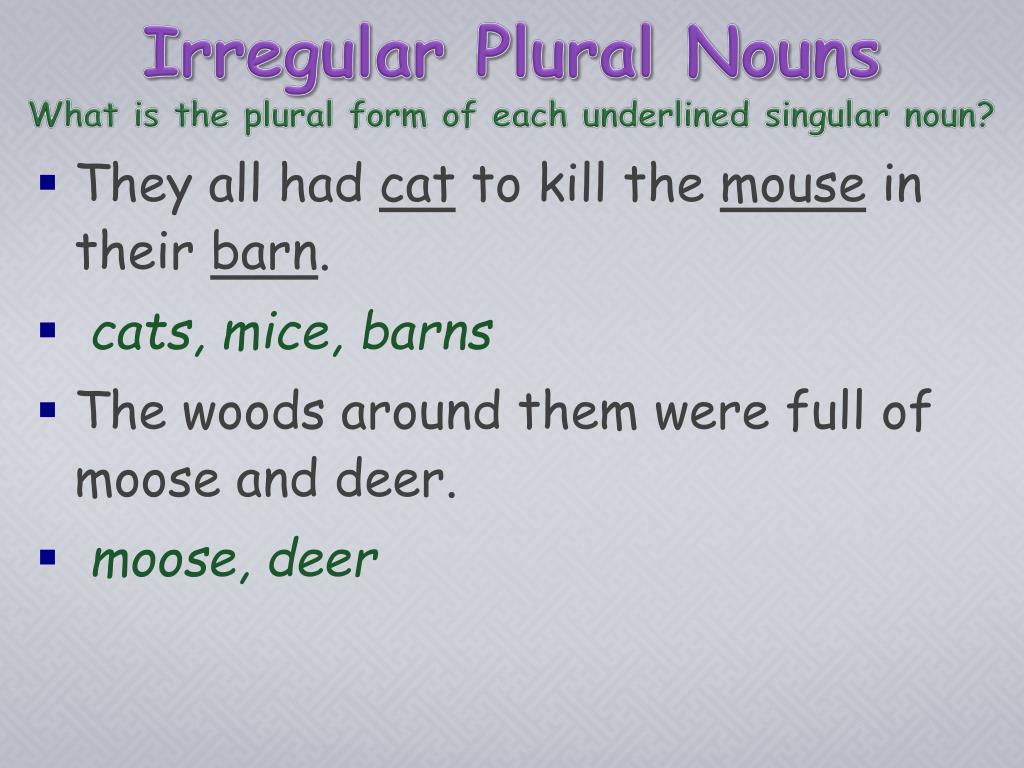 What Is The Plural Form Of Deer What Is The Plural Of Deer