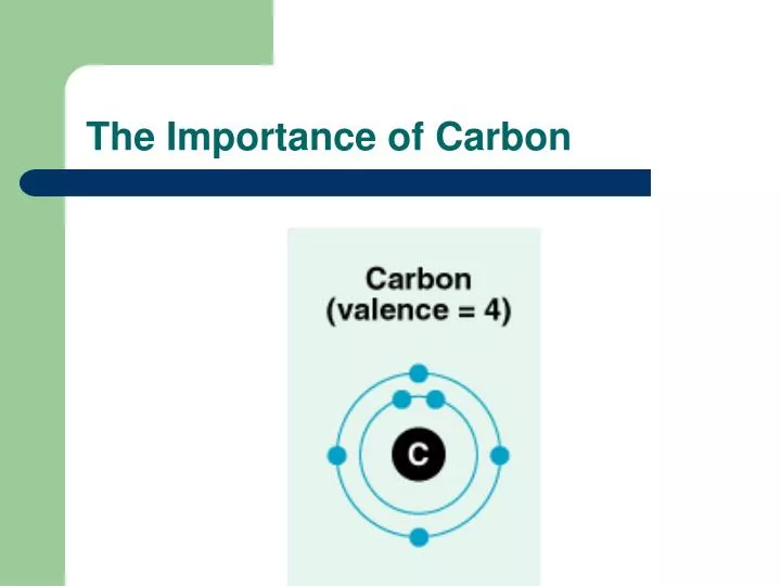 the importance of carbon n.