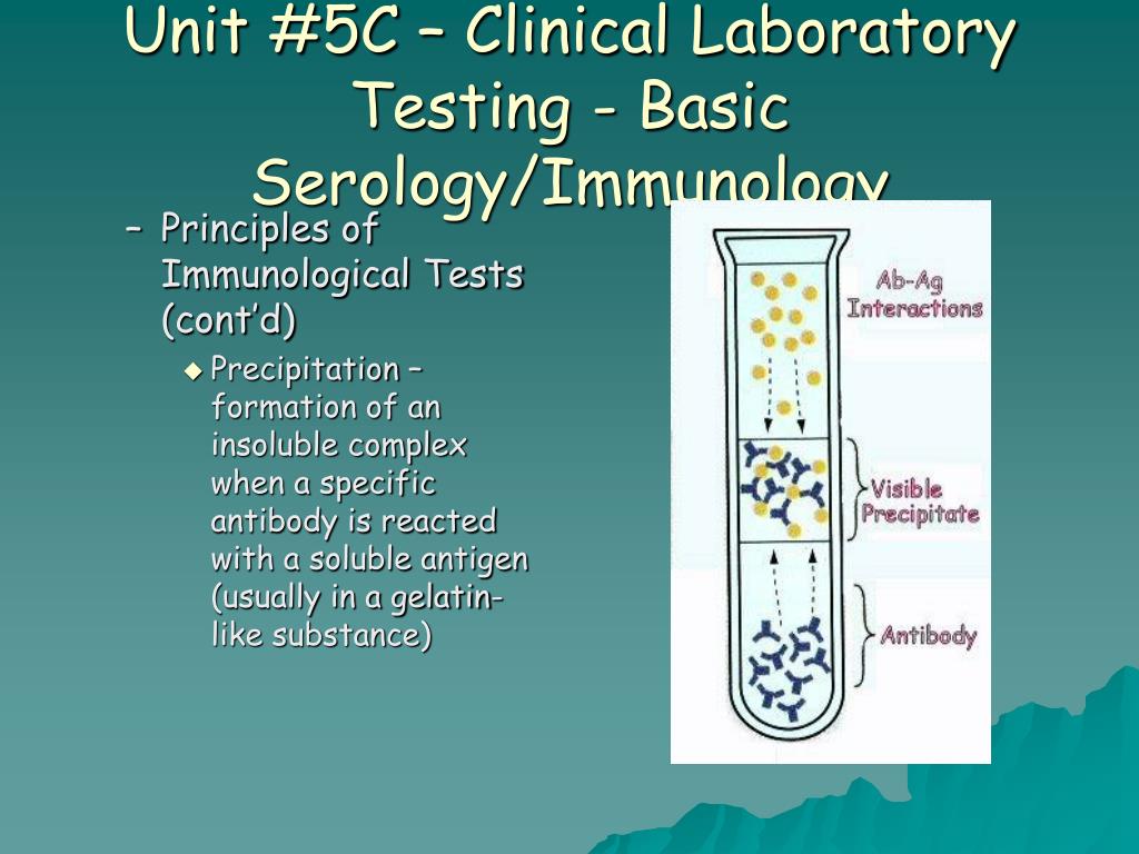 PPT Unit 5C Clinical Laboratory Testing Basic Serology PPT Unit 5C Clinical Laboratory Testing Basic Serology