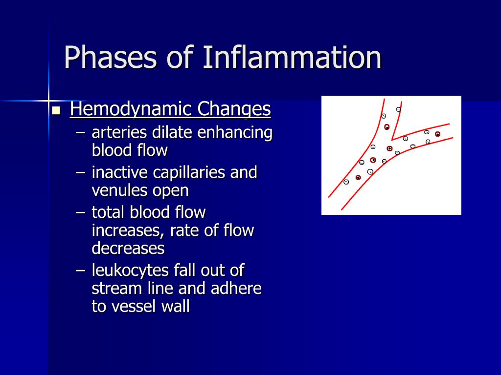 PPT  The Eight Phases of Inflammation PowerPoint Presentation, free