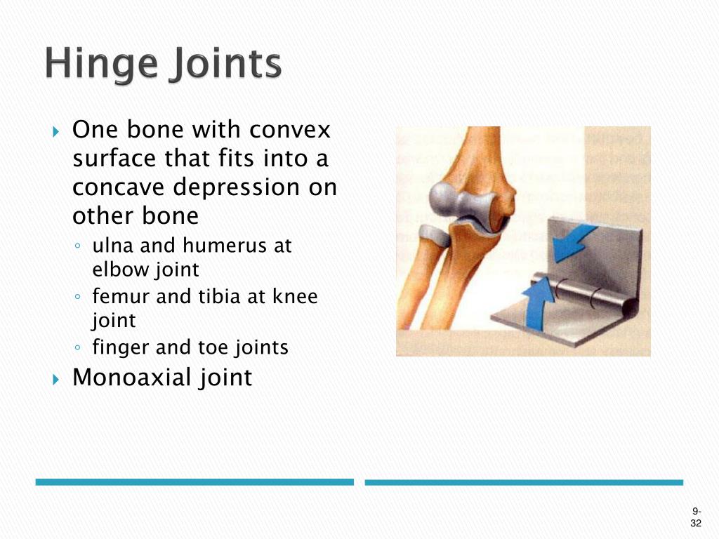PPT - Definition of Joint PowerPoint Presentation, free download - ID