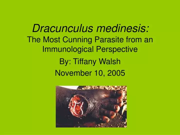 dracunculus medinesis the most cunning parasite from an immunological perspective n.