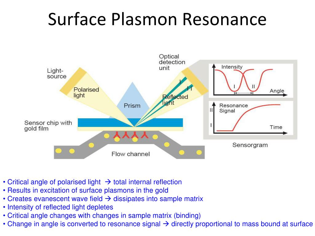 Плазмон. Surface Plasmon Resonance. Поверхностные плазмоны. Плазмонный резонанс SPR. Поверхностный плазмонный резонанс (SPR).