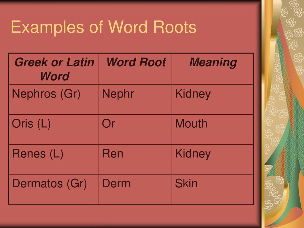 The word is a latin word. Word example. Root Words examples. Words with mal prefix. Keyword examples.