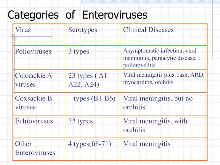 Ppt Enteroviruses Powerpoint Presentation Free Download Id Ppt Enteroviruses Powerpoint Presentation Free Download Id