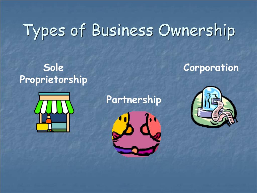 types of business ownership assignment