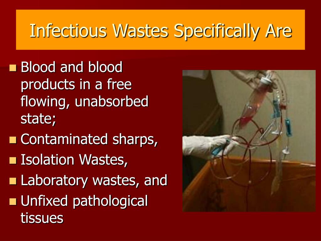 pathological waste includes