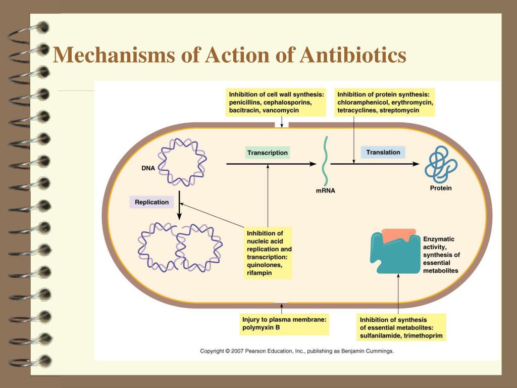 PPT - Antimicrobial Drugs PowerPoint Presentation, free download - ID ...
