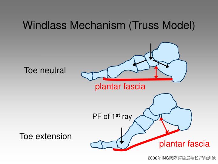 PPT Physical Therapy of Marathon Runners’ Injuries Assessment
