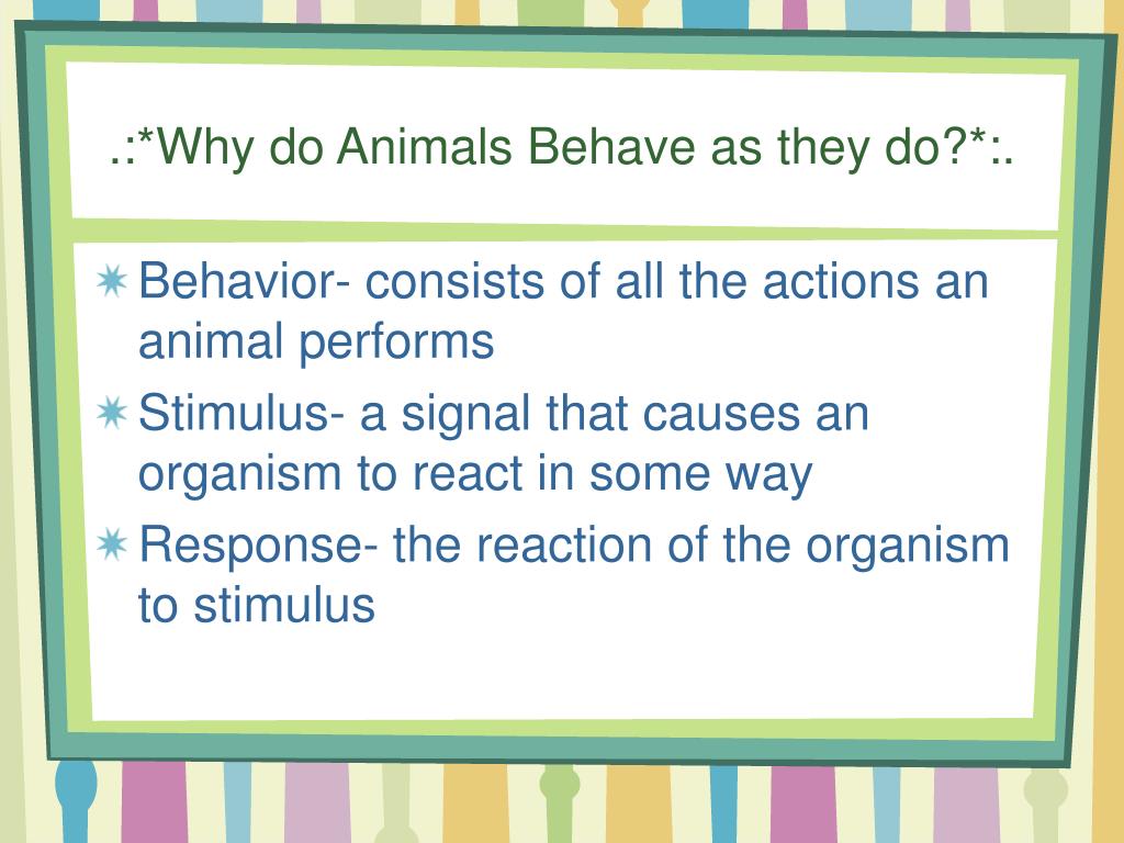 PPT - .:*Animal Behavior*:. PowerPoint Presentation, free download -  ID:395677