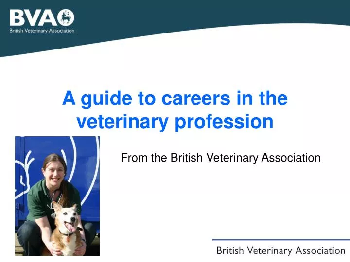 a guide to careers in the veterinary profession n.