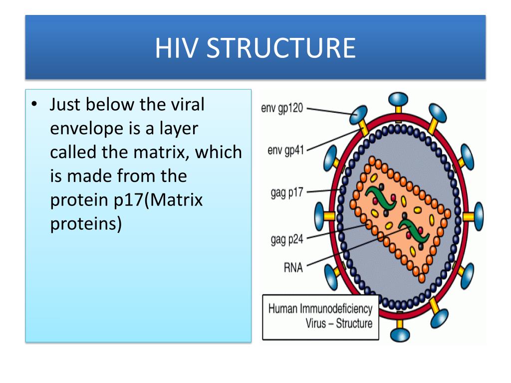 PPT AIDS BY DR BASHIR SOPORE KASHMIR PowerPoint Presentation Free 