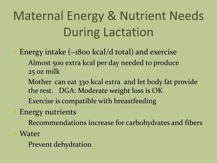 PPT - Life Cycle Nutrition: Pregnancy and Lactation PowerPoint ...