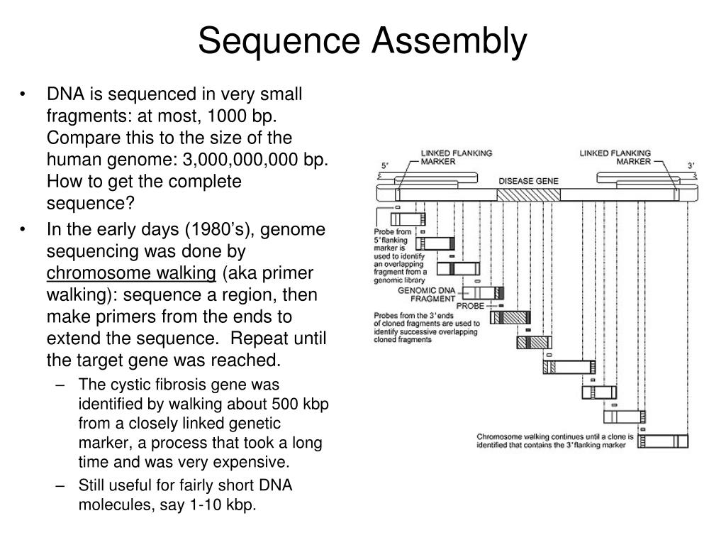 ppt-dna-sequencing-powerpoint-presentation-free-download-id-398162