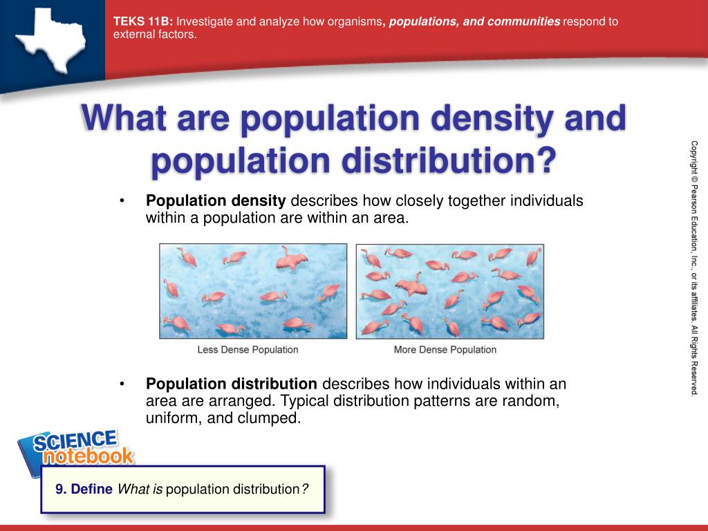 definition of population density