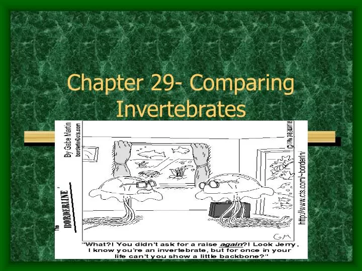 chapter 29 comparing invertebrates n.