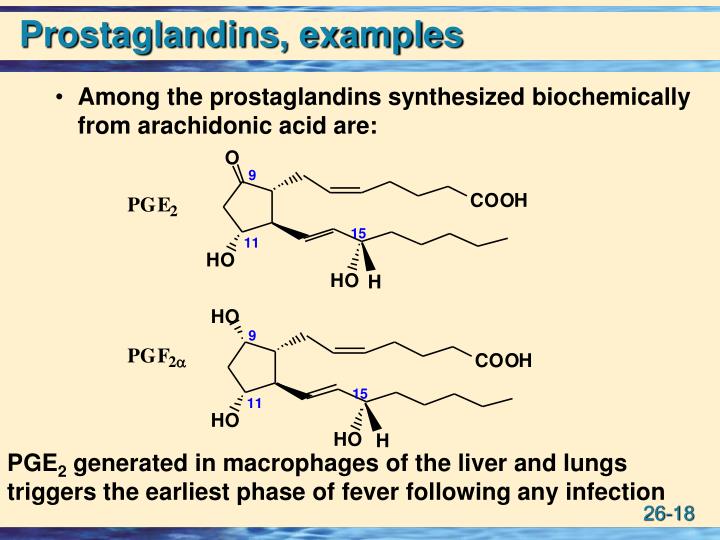 Ppt Lipids Powerpoint Presentation Id401966