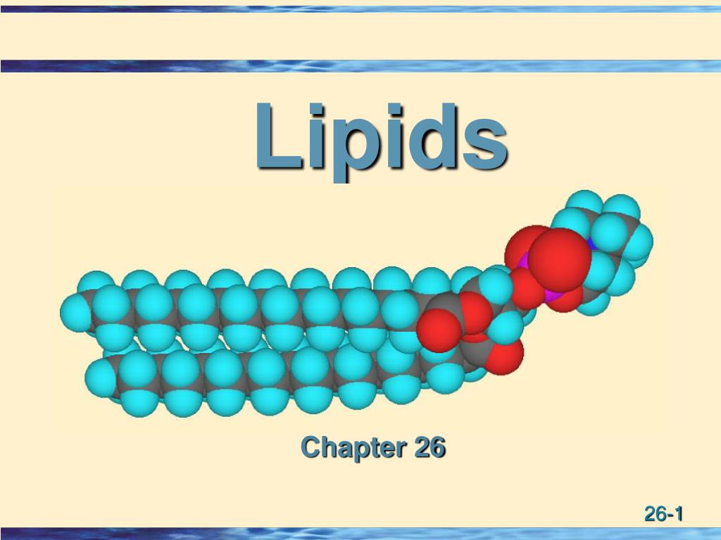 powerpoint presentation on lipid chemistry