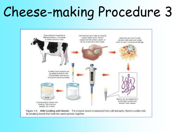 PPT - Making Cheese PowerPoint Presentation - ID:402776