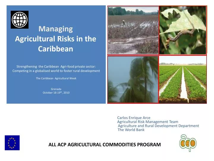 PPT - Strengthening the Caribbean Agri -food private sector: Competing ...