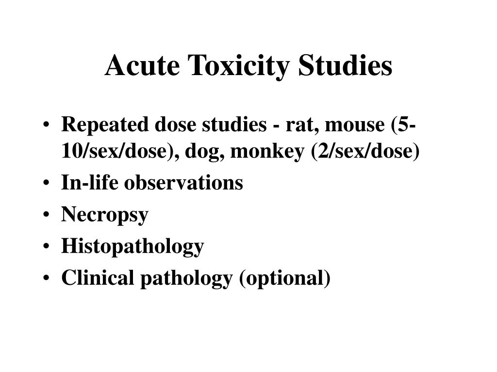 Acute toxicity studies in rats